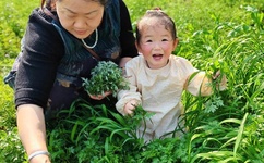 男生都是怎么C你的